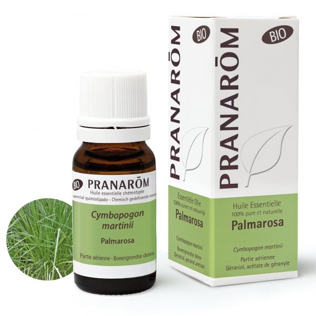Palmarosa Palmarosa