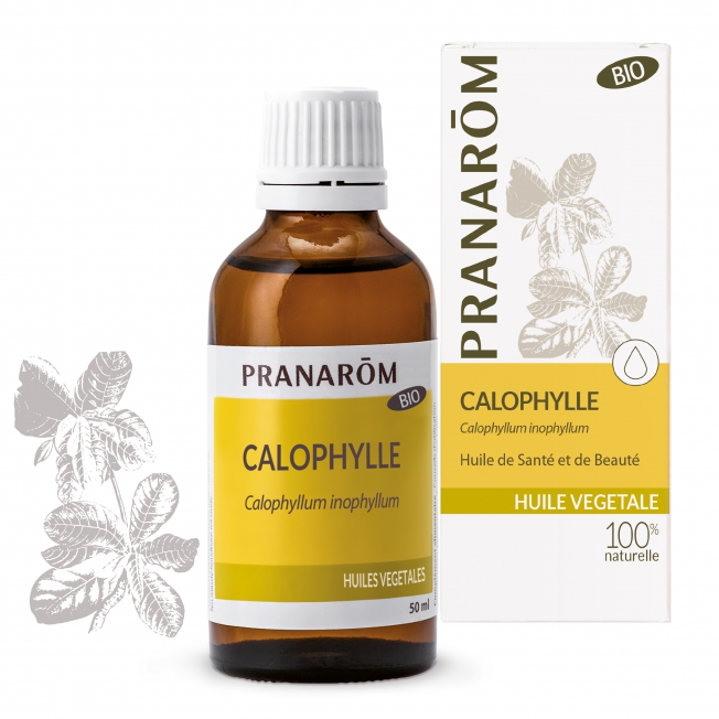 Calophylle - 50 ml Calophylle - 50 ml
