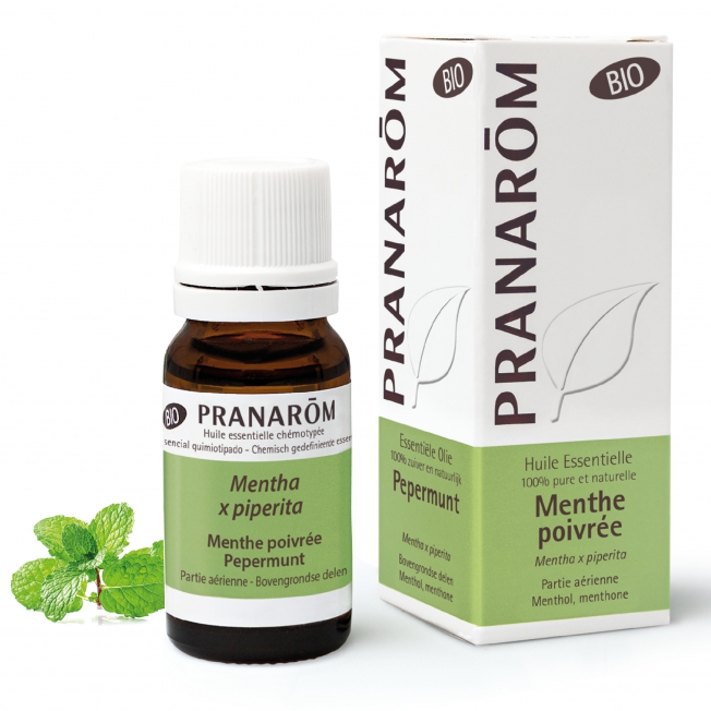 Menthe Poivrée Menthe Poivrée