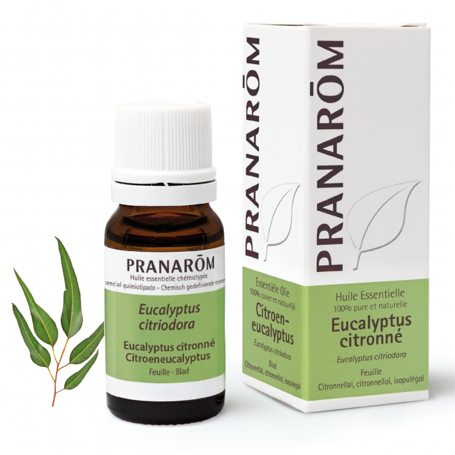 Eucalyptus citronné - 10 ml Eucalyptus citronné - 10 ml