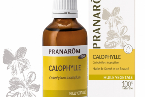 Calophylle - 50 ml