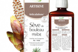 ARTISÈVE - 250 ml